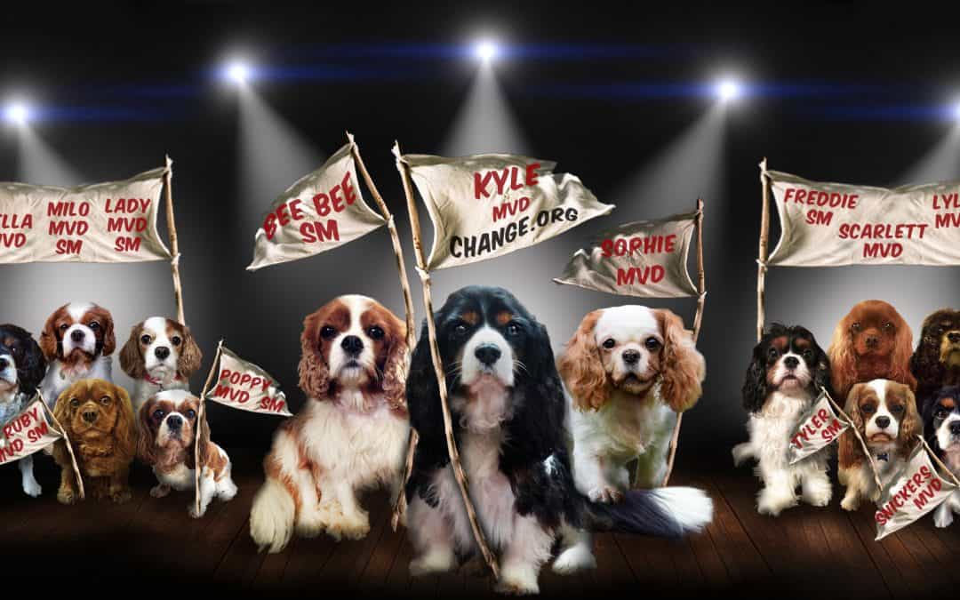 A Sad Goodbye To Some Of The Final Countdown Cavaliers