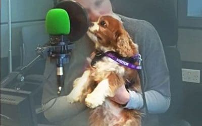If Dogs Could Talk: Beebee At The BBC